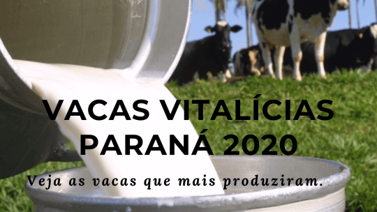 Vacas Vitalícias: veja as que mais produziram no Paraná em 2021 e 2022
